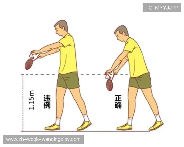 羽毛球实用教学 羽毛球实用教学