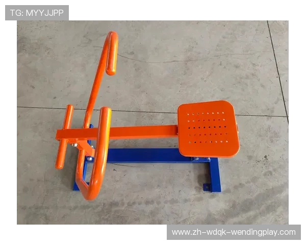 高性价比之选：国产健身器材品牌市场竞争力解析