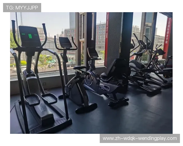 苏州哪里卖健身器材?当地购买健身设备的推荐 苏州哪里卖健身器材?当地购买健身设备的推荐